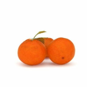 Tropisch oranje fruit 3D-model