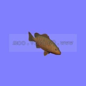 Sea Animal Mangrove Red Snapper 3d model