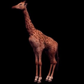 Mô hình động vật hươu cao cổ Masai 3d