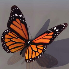 Modello 3d della farfalla monarca animale