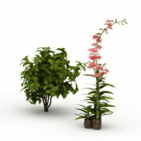 В'юнка рослина для саду 3d модель