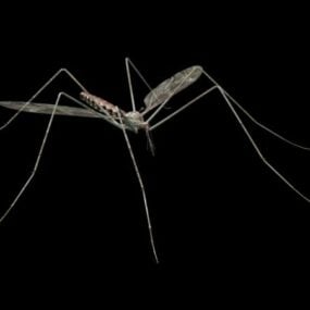动物蚊子3d模型