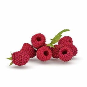 Τρισδιάστατο μοντέλο Nature Mulberry Fruit