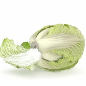 Napa Cabbage Vegetables 3d model