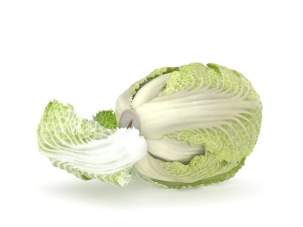 Napa Cabbage Vegetables
