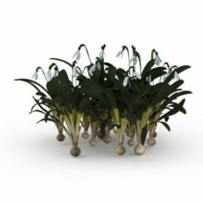 Ozdoby ogrodowe z kwiatów narcyza Model 3D