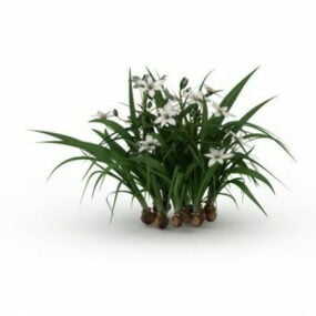 Modello 3d delle piante del narciso del giardino