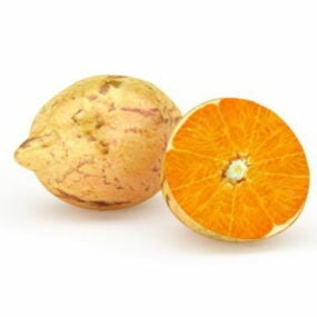 نموذج فاكهة البرتقال السرة ثلاثي الأبعاد
