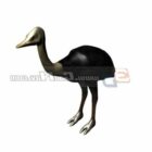 Animal North Africa Ostrich