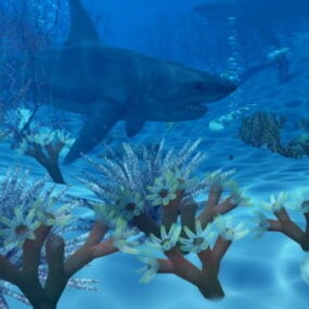 אוקיינוס ​​מתחת למים עם כריש דגם תלת מימד