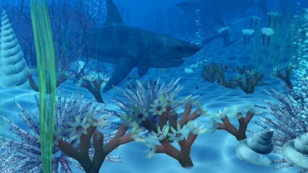 Ocean Underwater With Shark