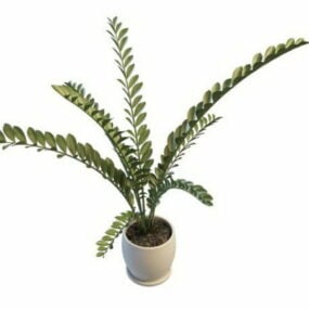 Sisätilojen Odd Pinnate Plant Tree 3d-malli