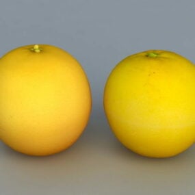 Two Orange Fruit 3d model