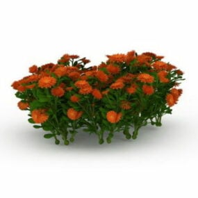 Orange gul blomsterhave plante 3d model