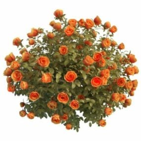 オレンジ色のバラ園の茂み3Dモデル