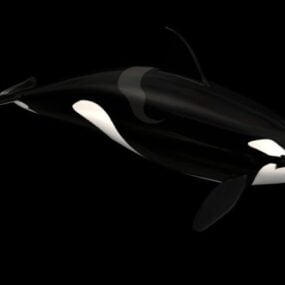 Animal Orcinus Orca Baleia Assassina Modelo 3D