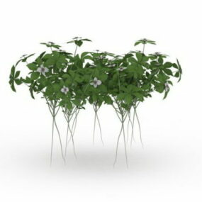 Økologiske urteplanter Havedekoration 3d-model