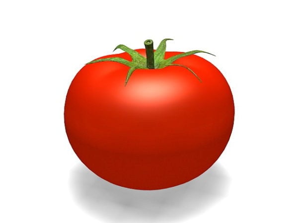 Natur organisk tomat