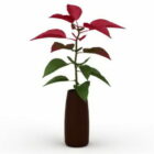 Plantes ornementales d'intérieur dans un vase
