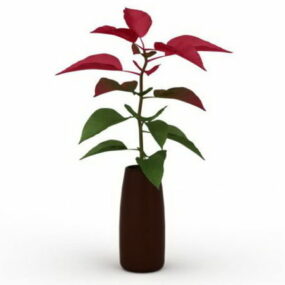 Indoor Ornamental Plants In Vase 3d model