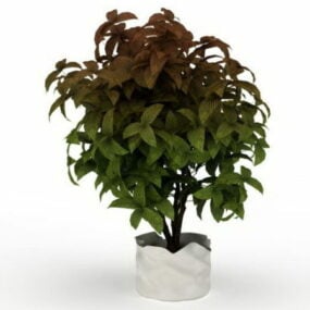 Modelo 3d de plantas ornamentais em vasos de interior