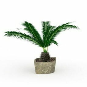Petites plantes de palmier en pot d'extérieur modèle 3D