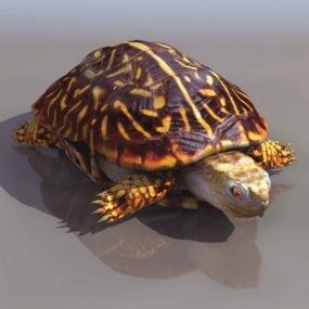 Model 3D żółwia malowanego w zwierzę