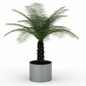 Modelo 3d de árvore bonsai de palmeira pequena interna