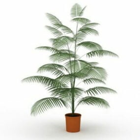 3д модель комнатного растения пальмового папоротника