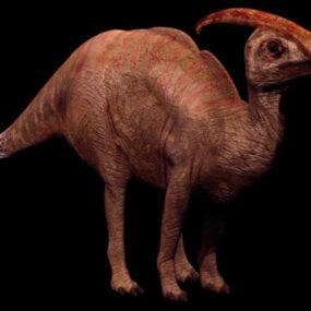 Dierlijke Parasaurolophus Dinosaurus 3D-model