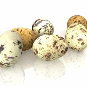 Nature Partridge Eggs 3d model