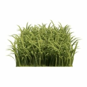 قطعة نبات من العشب نموذج ثلاثي الأبعاد