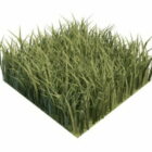 Piece Of Garden Green Grass