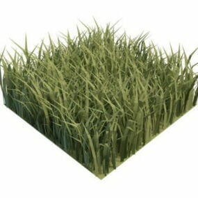 Morceau d'herbe verte de jardin modèle 3D