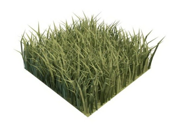 Morceau d'herbe verte de jardin