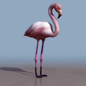 Modelo 3d de flamingo rosa animal