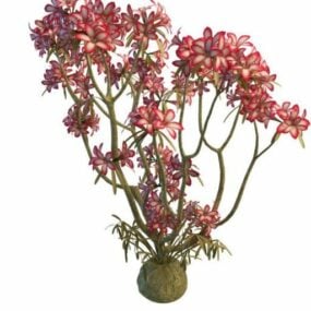 Model 3d Pokok Tumbuhan Bunga Merah Jambu