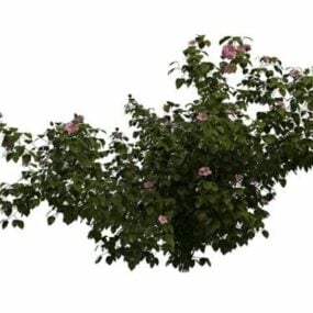 Modello 3d del cespuglio di rose rosa
