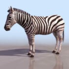 Animal Plains Zebra