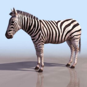 3д модель животного равнинной зебры