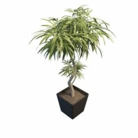 鉢植えの槍状の葉の木の植物3Dモデル