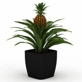 Potted Pineapple Indoor Plant 3d model