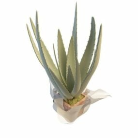 Aloe Vera Plant In Pot 3d model