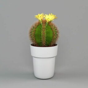 Office Potted Cactus Plant 3d model