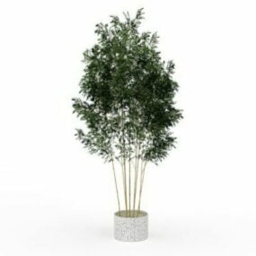 Modelo 3d de planta de interior de bambu em vaso