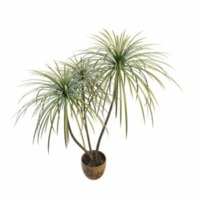 Office And Home Potted Bamboo Palm 3d model
