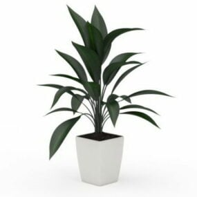 Modelo 3d de planta de folha larga em vaso de jardim interno