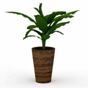 Planta de interior en maceta de hojas anchas modelo 3d