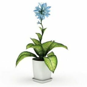 鉢植えのディーフェンバキアの花の植物 3D モデル