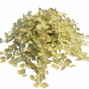 Епіпремнум золотистий кімнатна рослина 3d модель